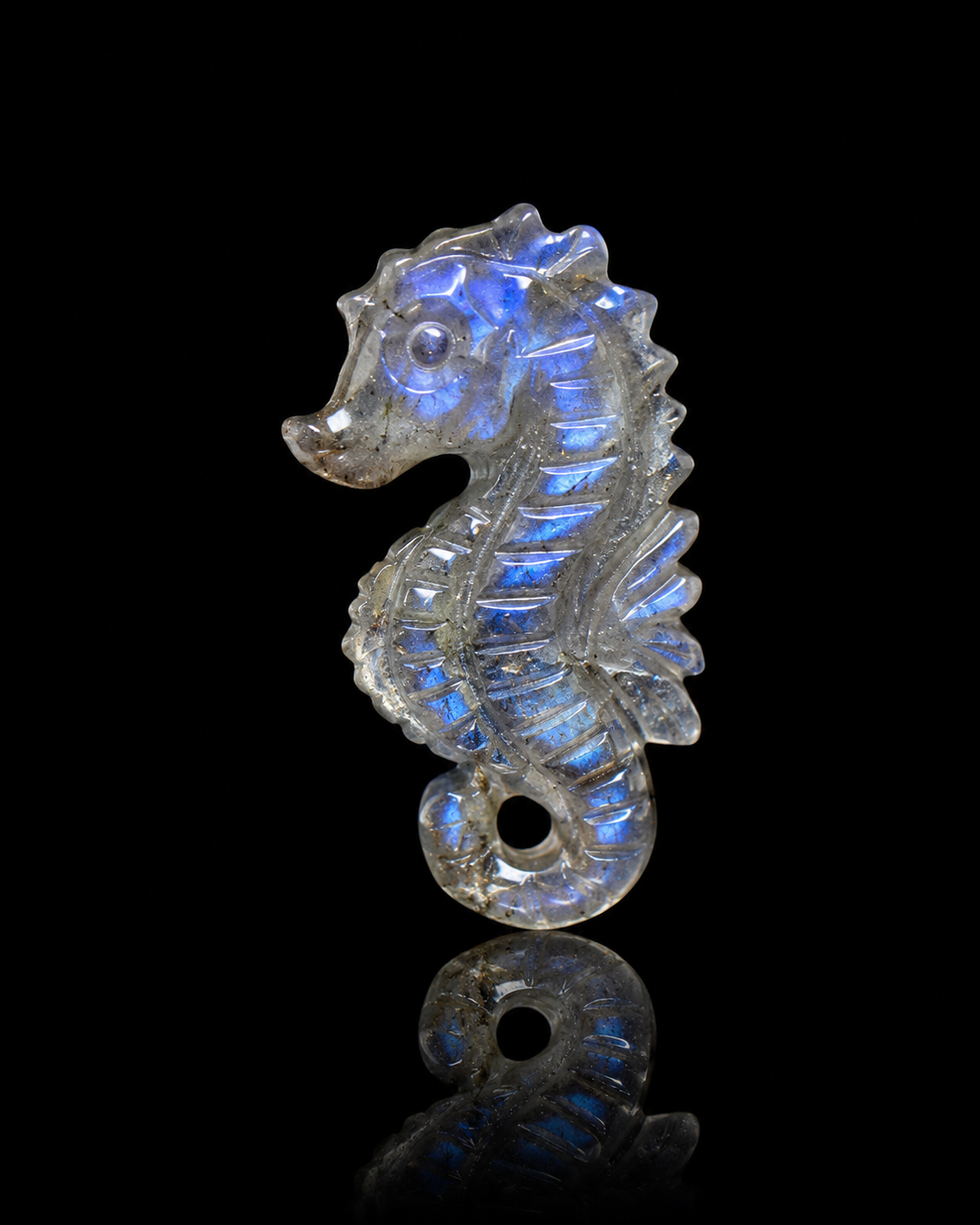 THE SEAHORSE ATELIER
